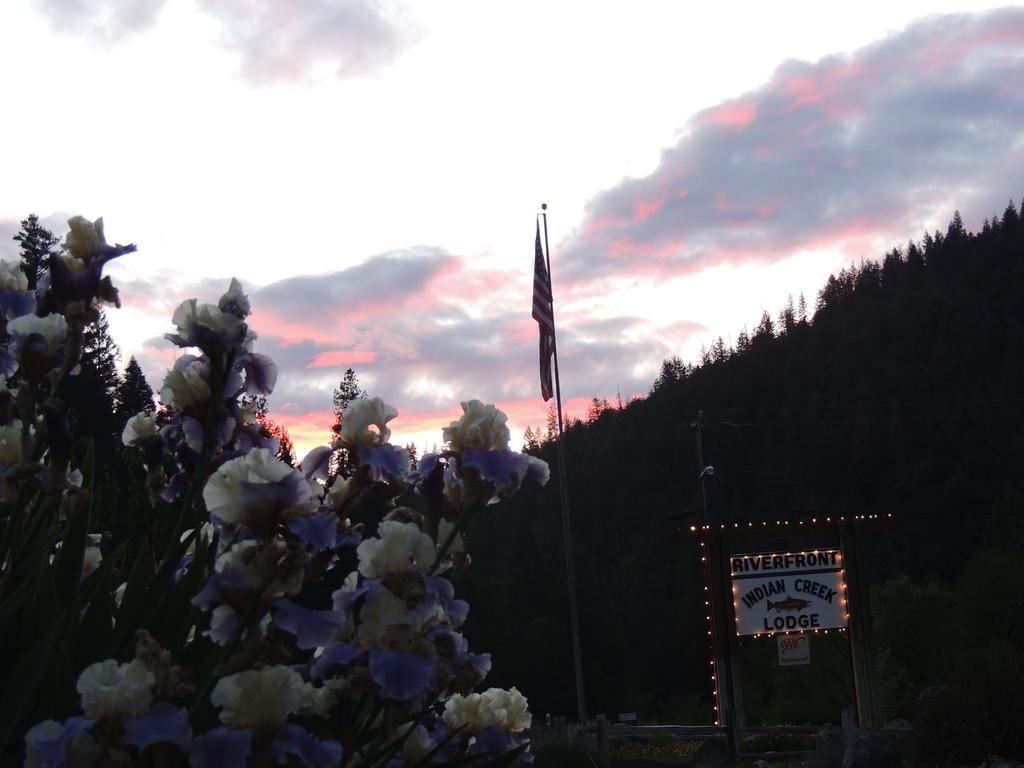 Indian Creek Lodge Douglas City Eksteriør billede